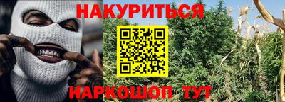 стафф Дубна